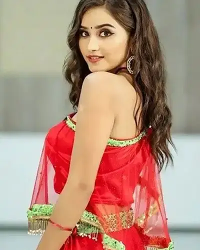 Call Girls Service Bhanupratappur